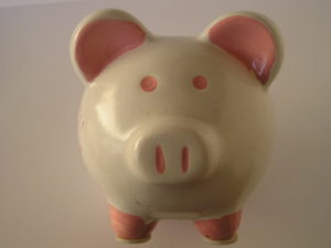 piggy bank 